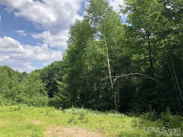 000 N Maplewood Rd, Gwinn, MI 49841