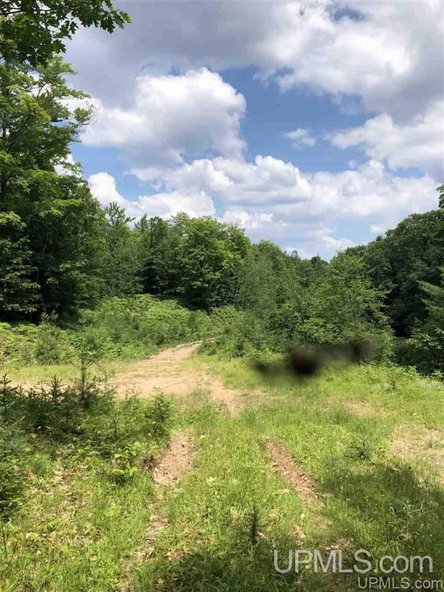 000 N Maplewood Rd, Gwinn, MI 49841