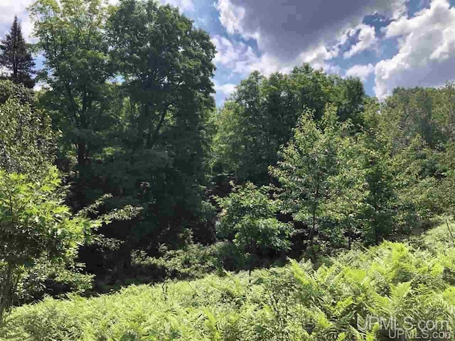 000 N Maplewood Rd, Gwinn, MI 49841