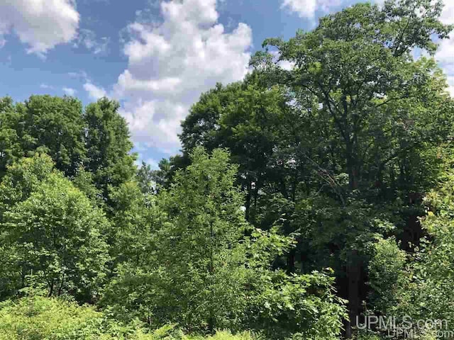 000 N Maplewood Rd, Gwinn, MI 49841