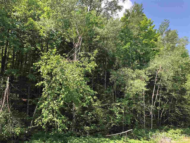 000 N Maplewood Rd, Gwinn, MI 49841