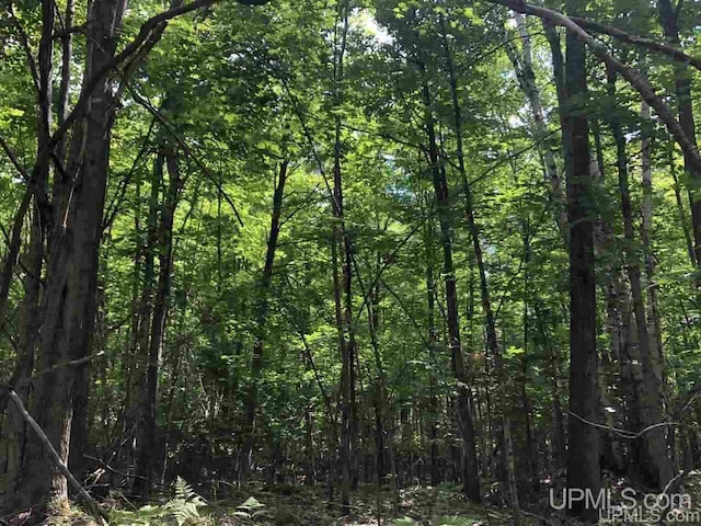 000 N Maplewood Rd, Gwinn, MI 49841