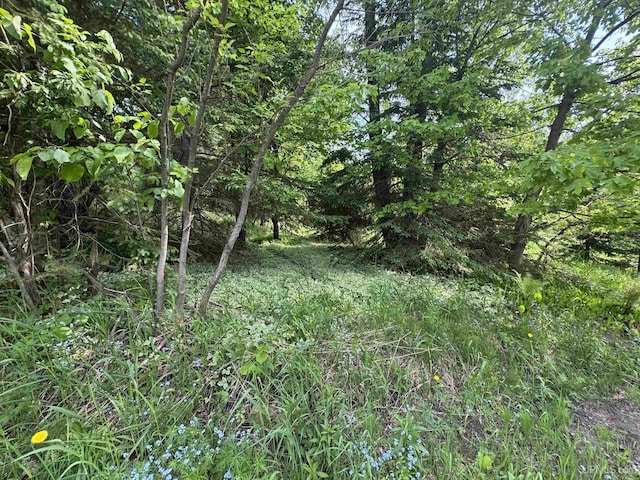 ON Penokee Rd, Ironwood, MI 49938