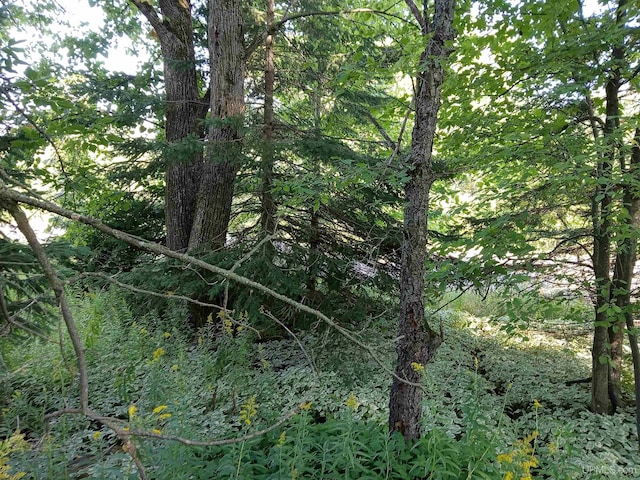 ON Penokee Rd, Ironwood, MI 49938