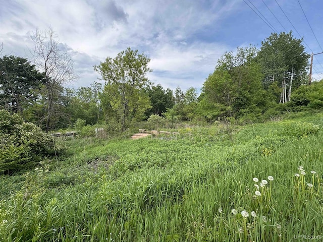 ON Penokee Rd, Ironwood, MI 49938