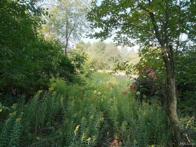 ON Penokee Rd, Ironwood, MI 49938