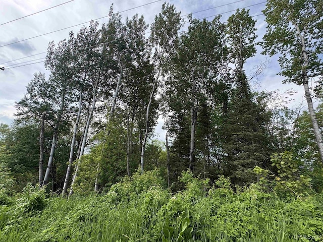 ON Penokee Rd, Ironwood, MI 49938