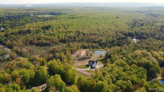 48050 Harma Rd, Atlantic Mine, MI 49905 - bird's eye view of a forest