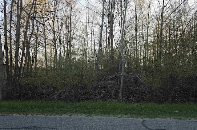 LOT271 Islanders Way, Gladwin, MI 48624