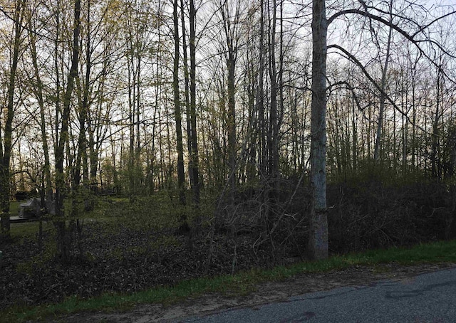 LOT271 Islanders Way, Gladwin, MI 48624