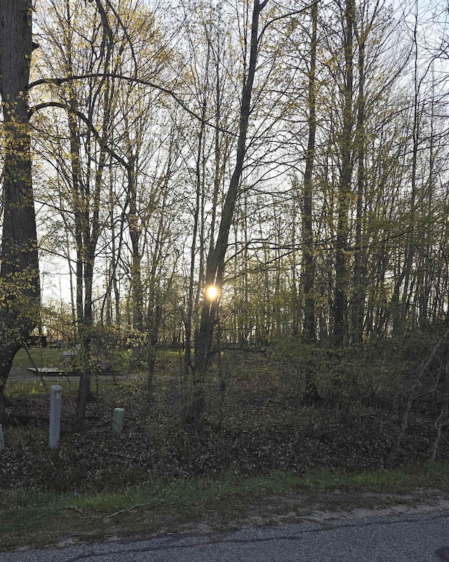 LOT271 Islanders Way, Gladwin, MI 48624