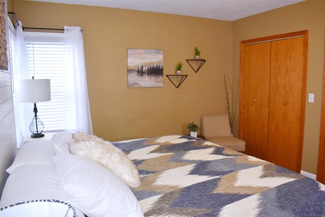 110 W Francis St, Ironwood, MI 49938 - bedroom with multiple windows and a closet
