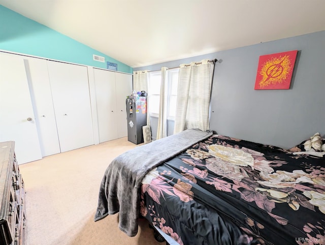 104 Provider St, Gwinn, MI 49841 - bedroom featuring multiple closets, carpet floors, and vaulted ceiling