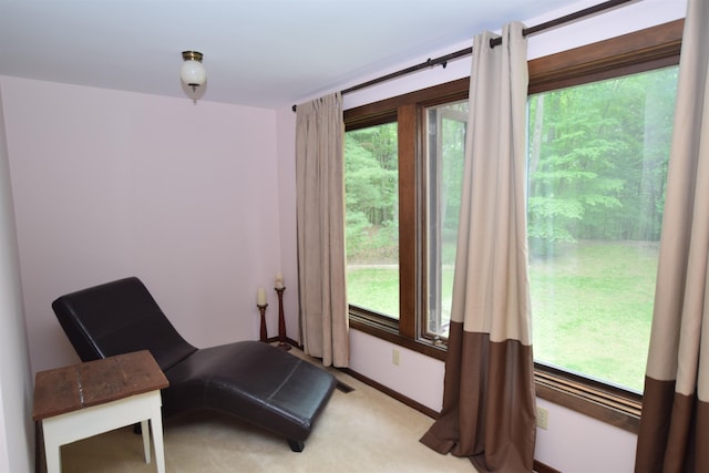 5400 Siebert St, Midland, MI 48640 - sitting room with plenty of natural light and light carpet