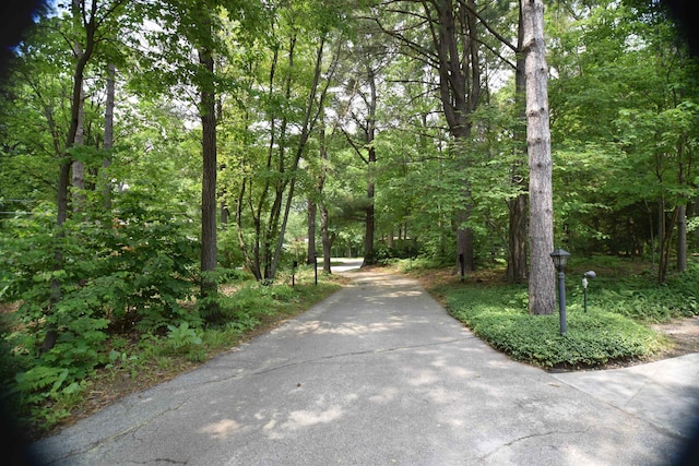 5400 Siebert St, Midland, MI 48640 - view of street featuring a view of trees