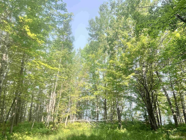 3.74ACON Lake Rd, Ironwood, MI 49938