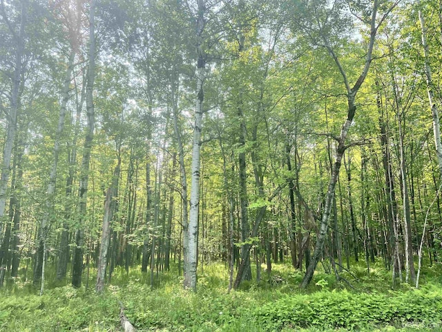 3.74ACON Lake Rd, Ironwood, MI 49938