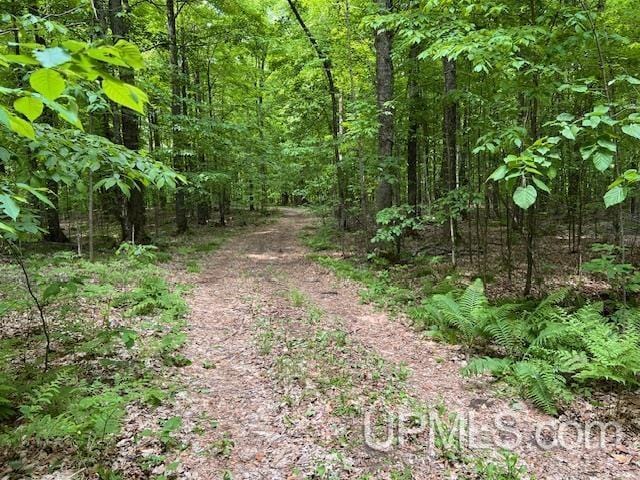 20.99ACRES Old J Rd, Silver Cliff T-Wi, WI 54104