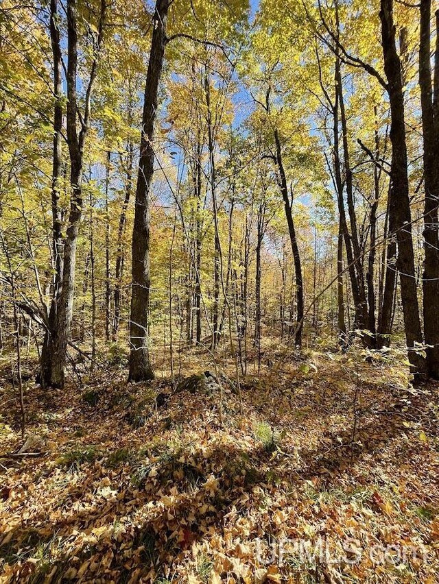 20.99ACRES Old J Rd, Silver Cliff T-Wi, WI 54104