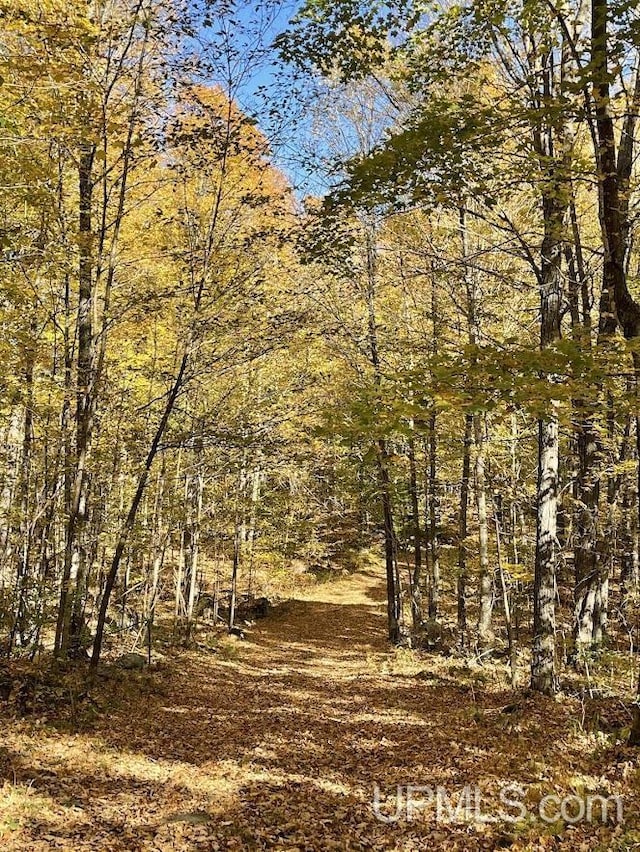 20.99ACRES Old J Rd, Silver Cliff T-Wi, WI 54104