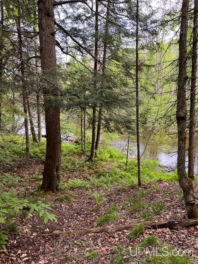 20.99ACRES Old J Rd, Silver Cliff T-Wi, WI 54104