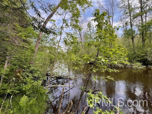 20.99ACRES Old J Rd, Silver Cliff T-Wi, WI 54104