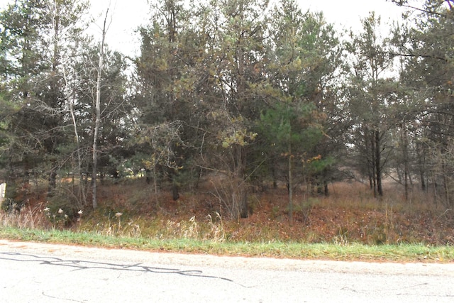 LOT11 N Westchester Rd, Gladwin, MI 48624