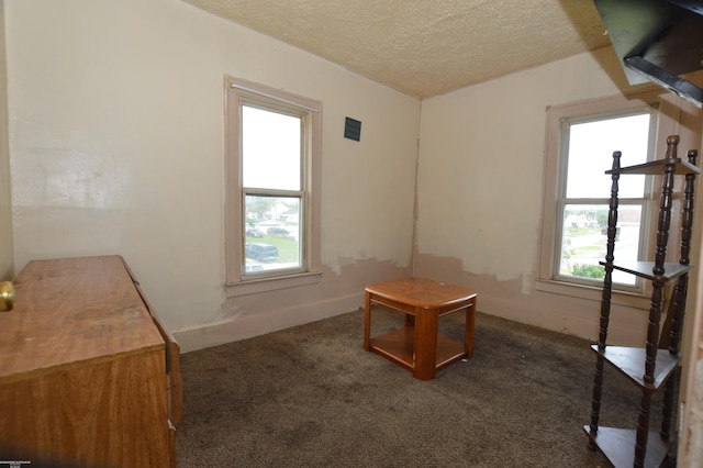 17530 Oakdale St, Roseville, MI 48066 - unfurnished office featuring carpet and a textured ceiling