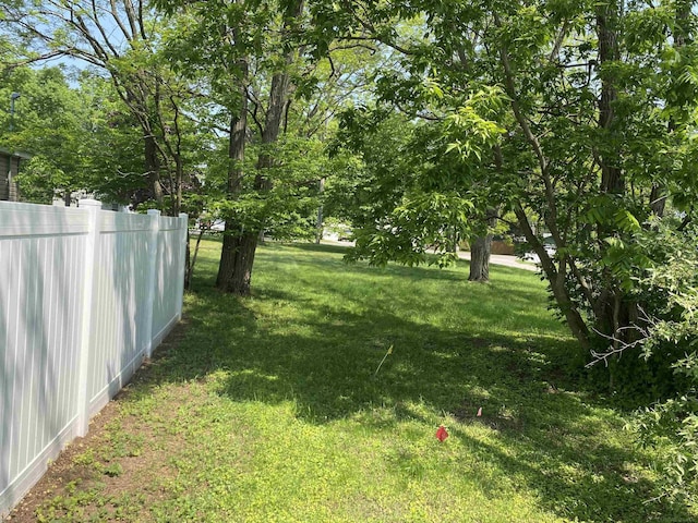 1335 28th St, Manistee, MI 49660 - view of yard