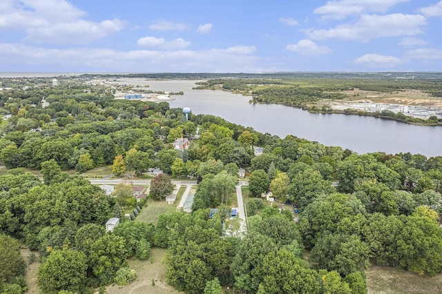 1335 28th St, Manistee, MI 49660 - aerial view of a large body of water