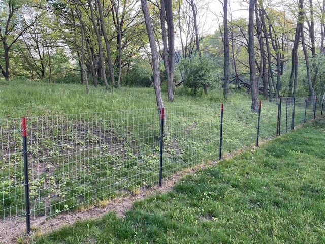 1335 28th St, Manistee, MI 49660 - view of yard