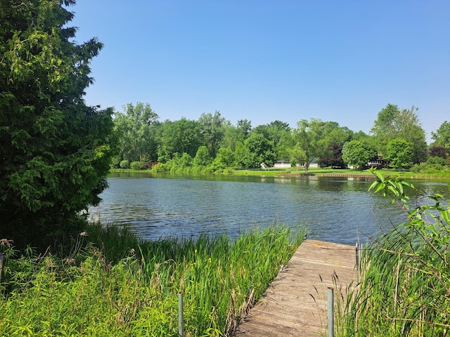 641 Point Dr, Clare, MI 48617