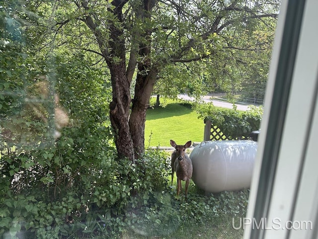 21988 E Everett Ave, Grand Marais, MI 49839 - view of green lawn