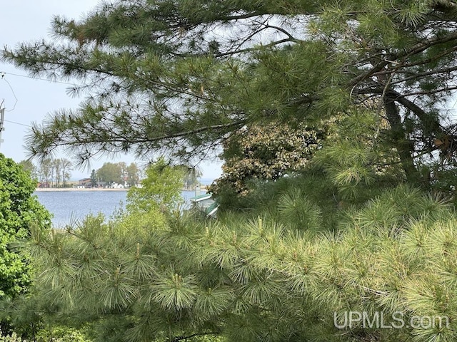 21988 E Everett Ave, Grand Marais, MI 49839 - water view