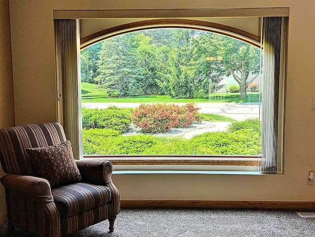 810 Natures Ridge Ln, Bay City, MI 48708 - living area featuring carpet flooring