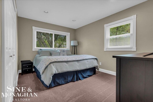 1076 Kelley St, Troy, MI 48083 - bedroom featuring dark carpet and recessed lighting