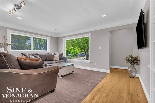 1076 Kelley St, Troy, MI 48083 - living room with hardwood / wood-style flooring, crown molding, and recessed lighting
