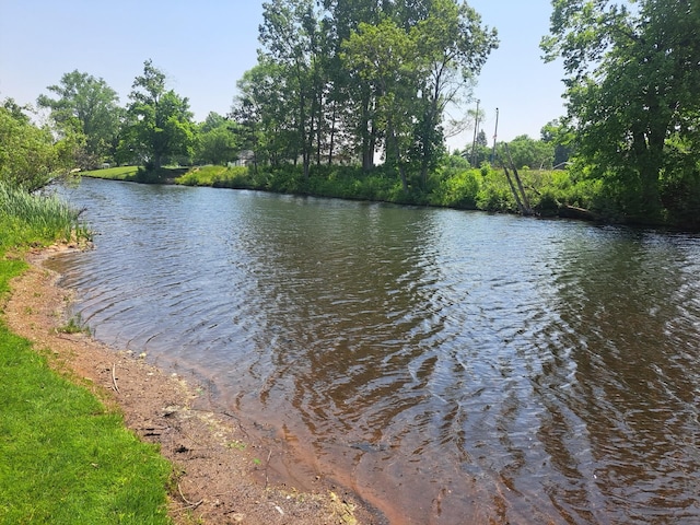 250 Witbeck Dr, Clare, MI 48617 - water view