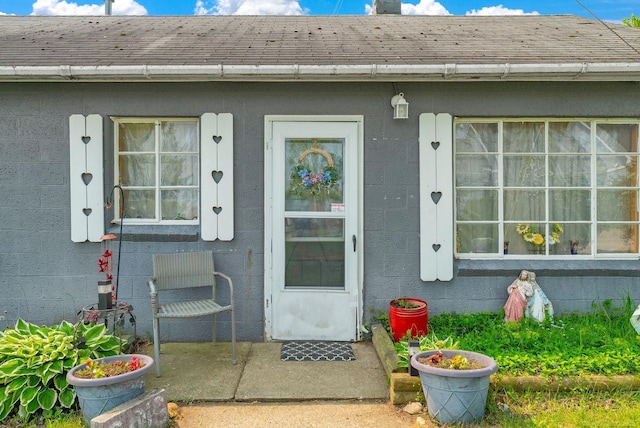 8941 Lakeshore Rd, Lexington, MI 48450 - doorway to property with a shingled roof, a chimney, and concrete block siding