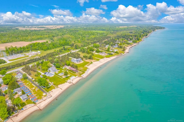 8941 Lakeshore Rd, Lexington, MI 48450 - aerial view of a heavily wooded area and a large body of water