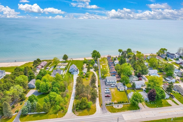 8941 Lakeshore Rd, Lexington, MI 48450 - aerial perspective of suburban area with a large body of water