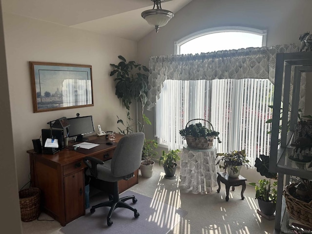 48274 Prestwyck Rd, Macomb, MI 48044 - home office with light carpet and vaulted ceiling