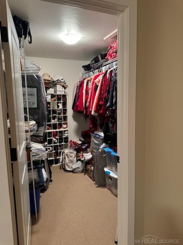 16380 Springvale Ct, Spring Lake, MI 49456