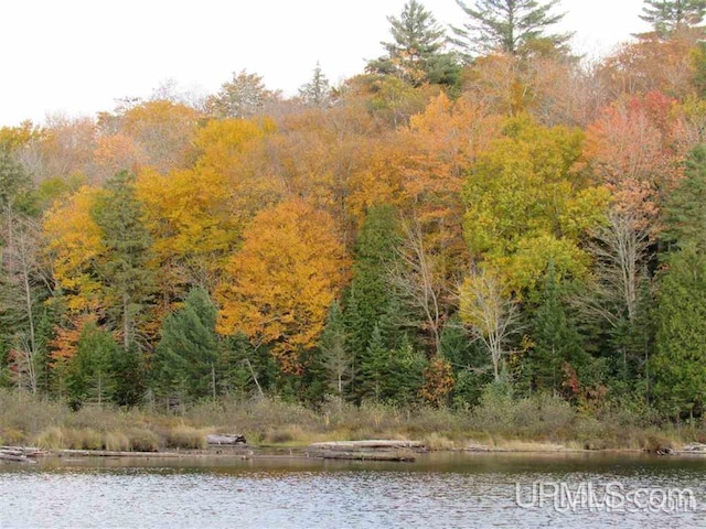 LOT13 E Fence Lake Dr, Michigamme, MI 49861