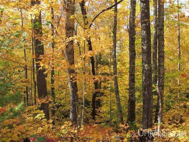 LOT13 E Fence Lake Dr, Michigamme, MI 49861