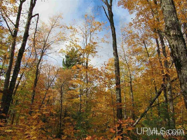 LOT13 E Fence Lake Dr, Michigamme, MI 49861