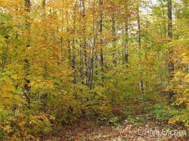 LOT13 E Fence Lake Dr, Michigamme, MI 49861