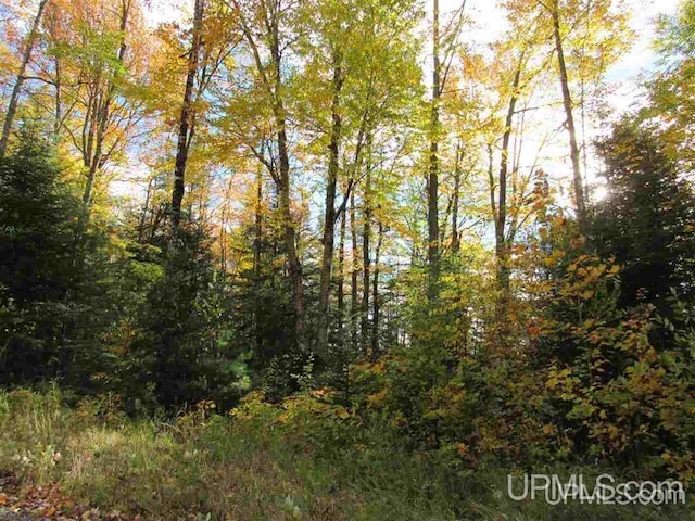 LOT13 E Fence Lake Dr, Michigamme, MI 49861