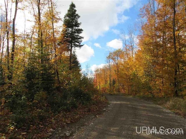 LOT13 E Fence Lake Dr, Michigamme, MI 49861