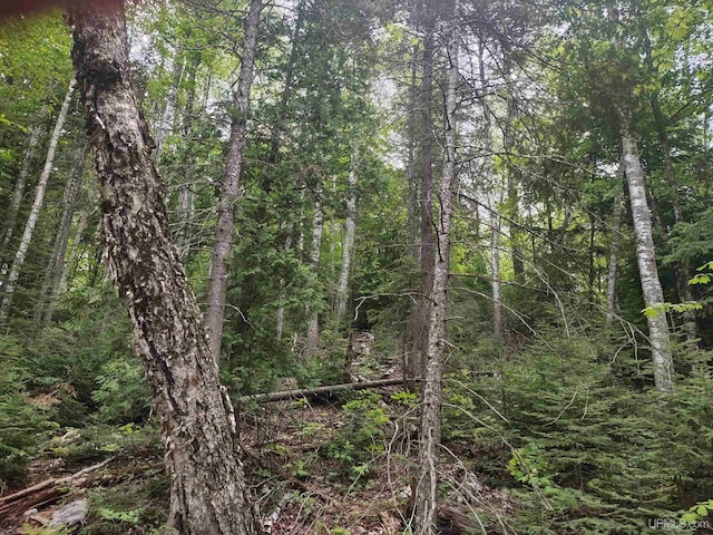 LOT13 E Fence Lake Dr, Michigamme, MI 49861